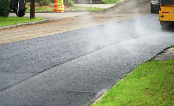 Best Driveway Paving Contractor  in Ovid, MI